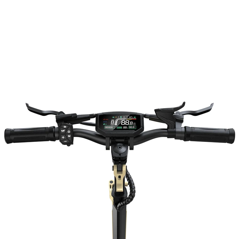 Cruiser Pro Off-Road Electric Scooter