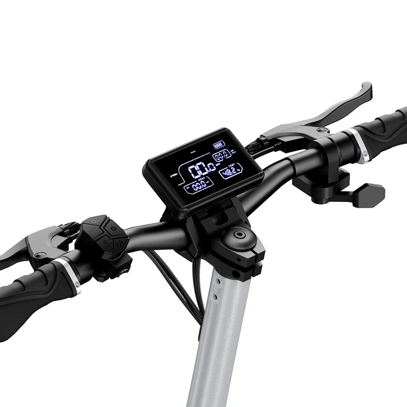 Raptor Pro Off-Road Electric Scooter