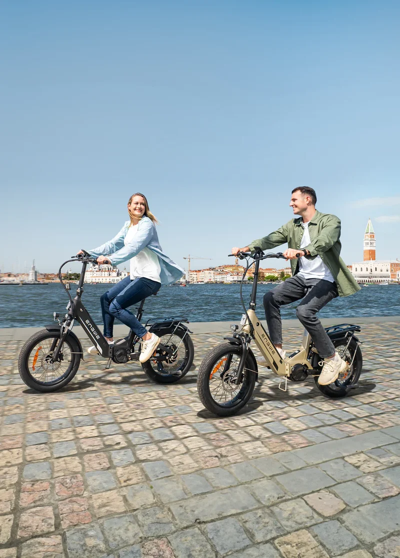Engwe L20 3.0 Pro 250W 100Nm Mid-drive Motor Full Suspension Compact E-Bike
