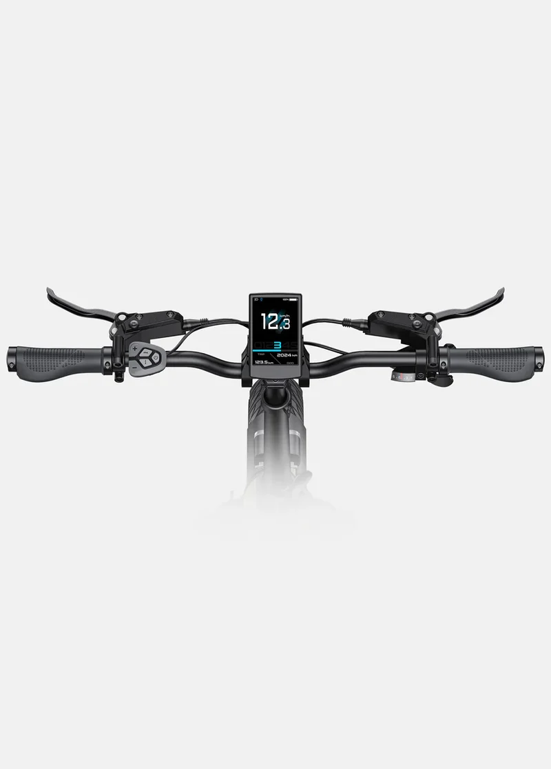 Engwe L20 3.0 Pro 250W 100Nm Mid-drive Motor Full Suspension Compact E-Bike