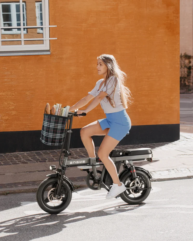 Engwe T14 250W Hub Motor Multiple Suspension Folding Electric Mini Bike