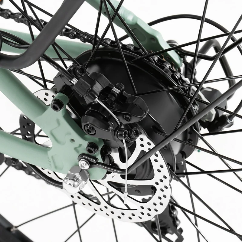 Foride Roamer 1 Commuter Step-Thru Electric Bike