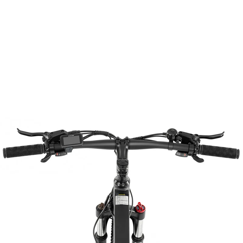 Foride Xtremer 2 Mountain Electric Bike
