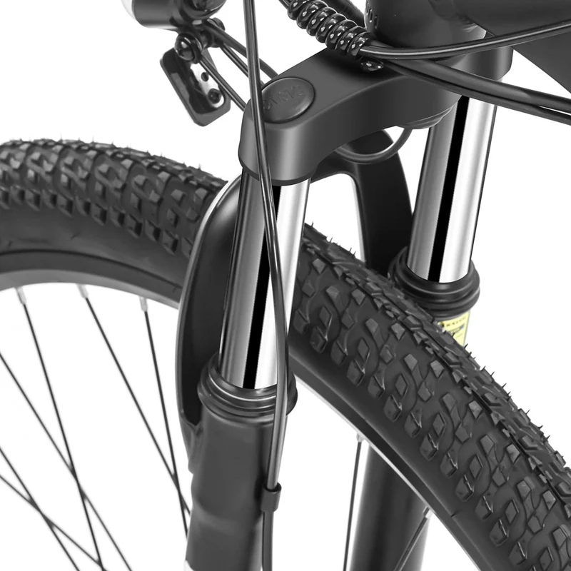 Foride Xtremer 1 Mountain Electric Bike