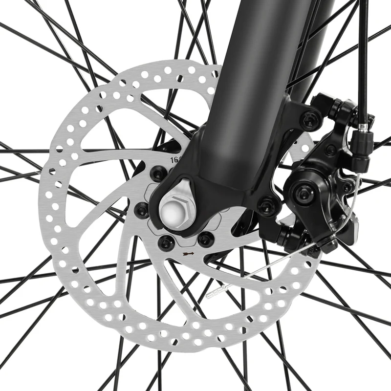 Foride Xtremer 1 Mountain Electric Bike