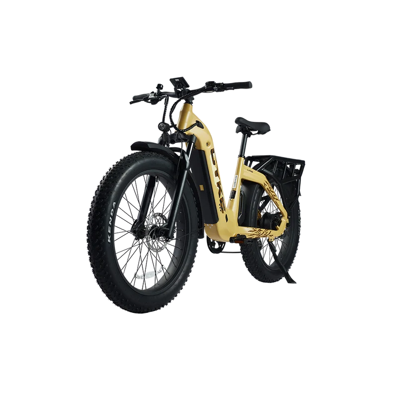 Cyke Family Series Lynx Commuter Electric bike
