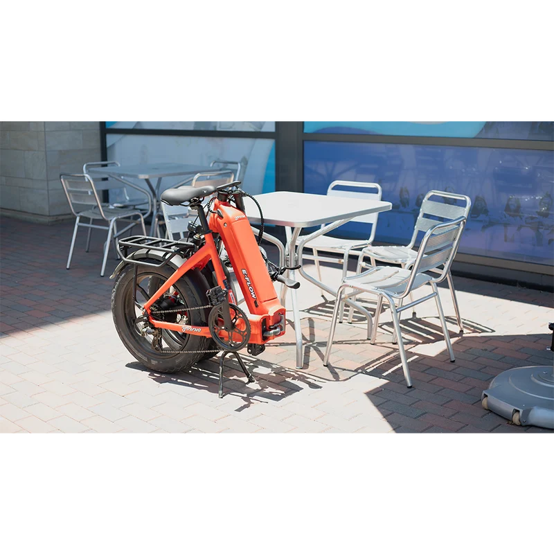 Young Electric E-Flow Foldable Electric Bike