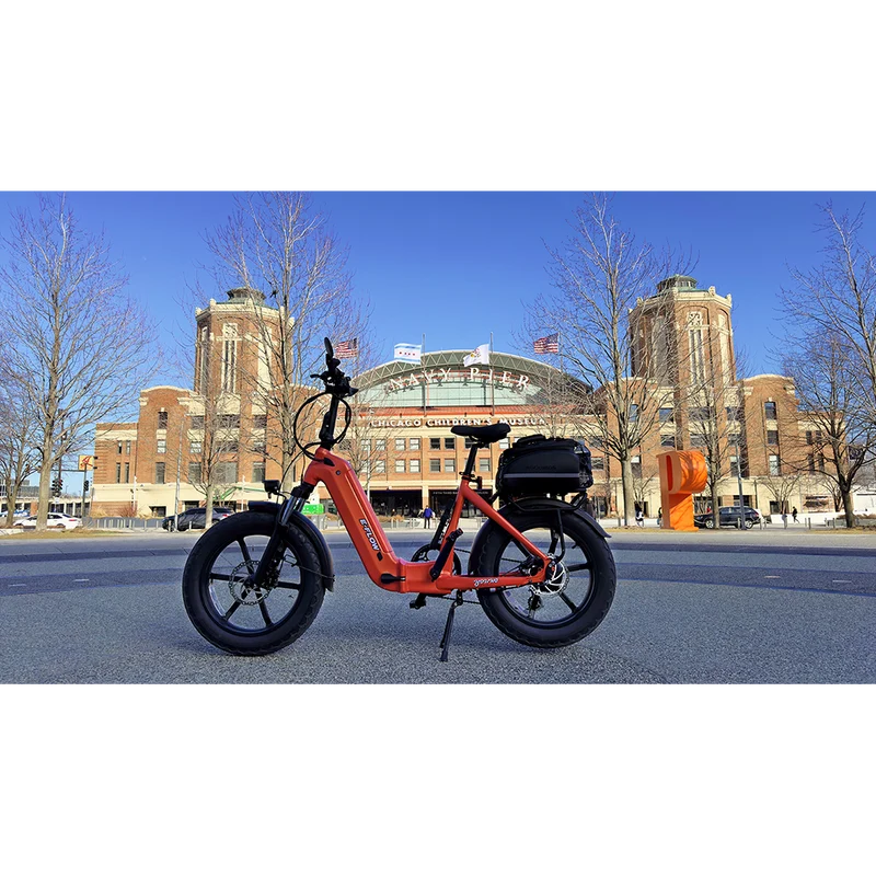 Young Electric E-Flow Foldable Electric Bike