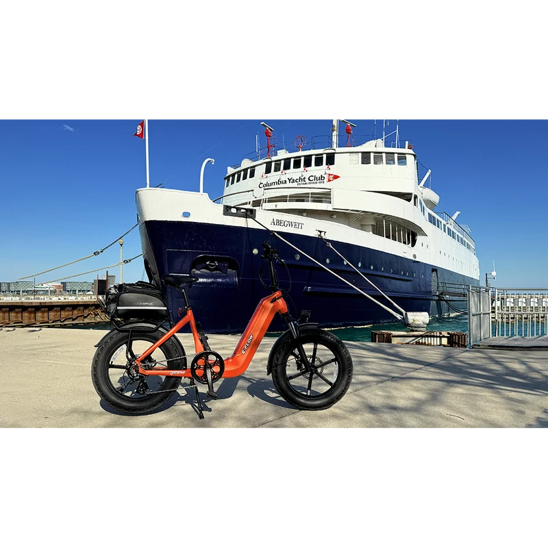 Young Electric E-Flow Foldable Electric Bike