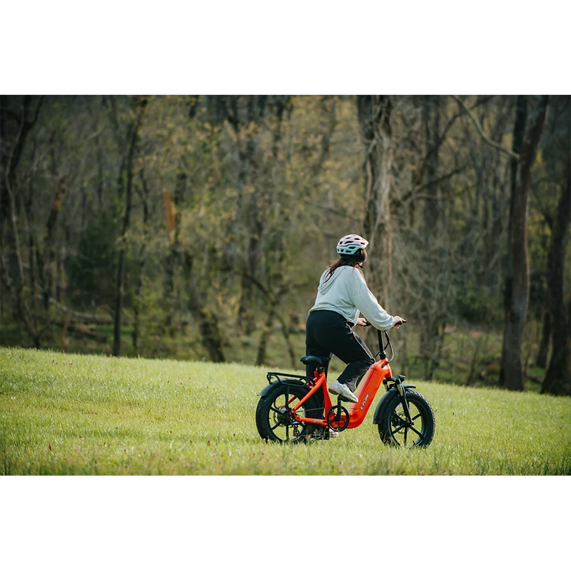 Young Electric E-Flow Foldable Electric Bike