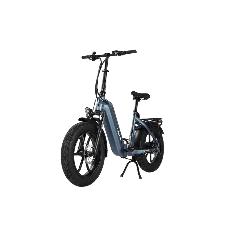 Young Electric E-Flow Foldable Electric Bike