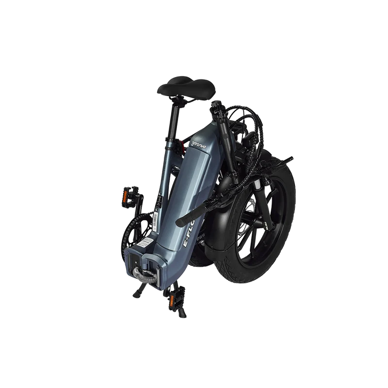 Young Electric E-Flow Foldable Electric Bike