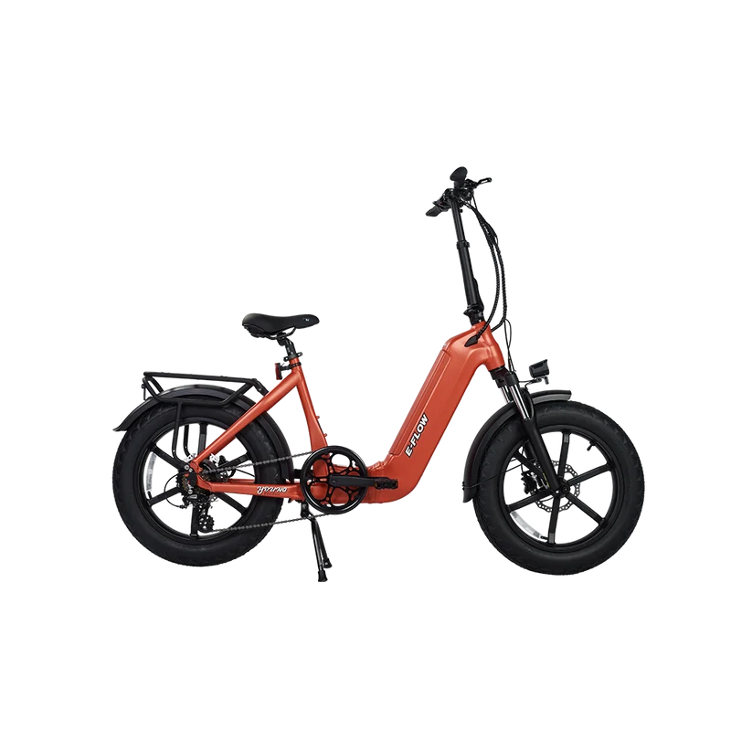 Young Electric E-Flow Foldable Electric Bike
