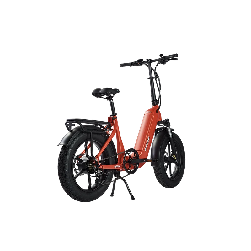 Young Electric E-Flow Foldable Electric Bike