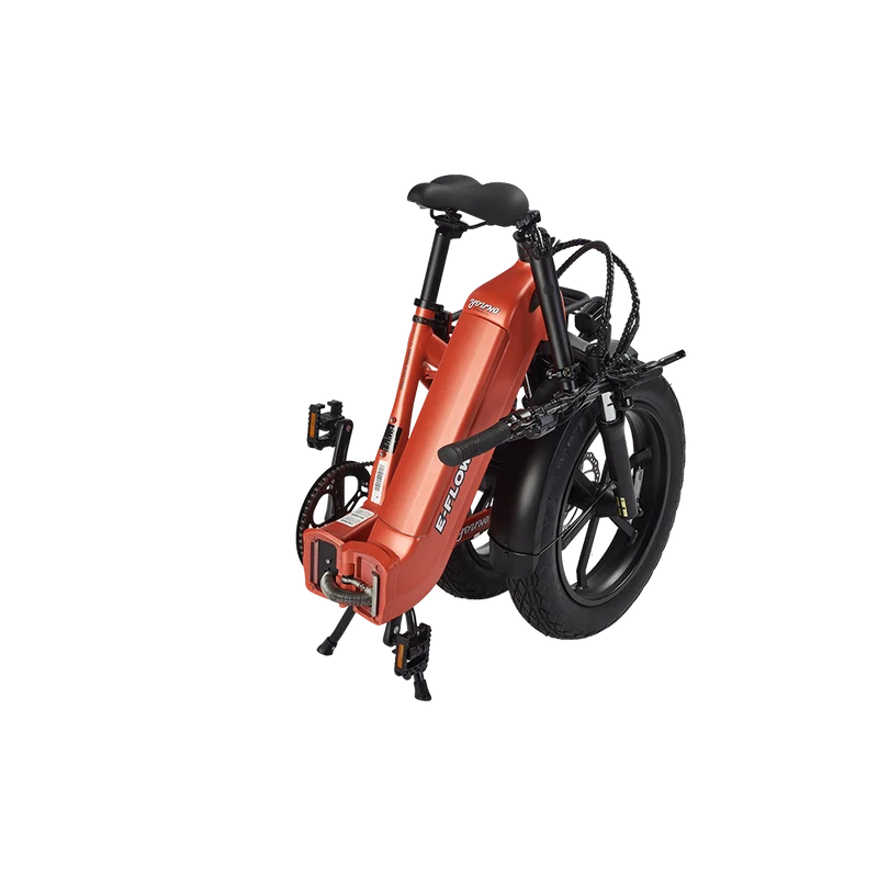 Young Electric E-Flow Foldable Electric Bike