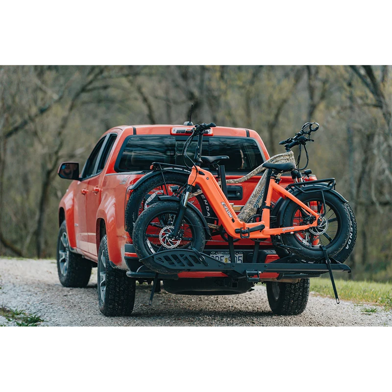 Young Electric E-Flow Foldable Electric Bike