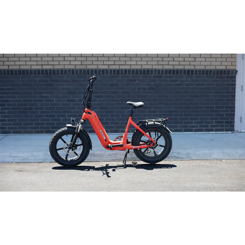 Young Electric E-Flow Foldable Electric Bike