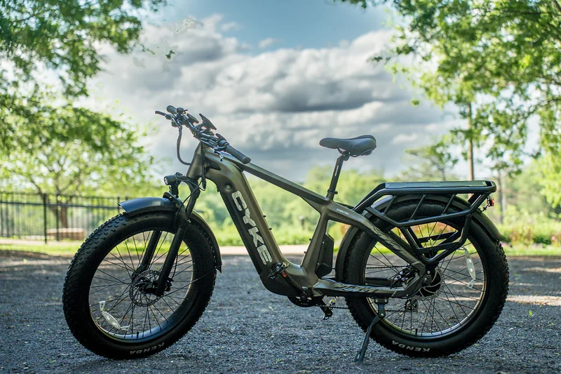 Cyke Family Series Cheetah Hunting Electric Bike
