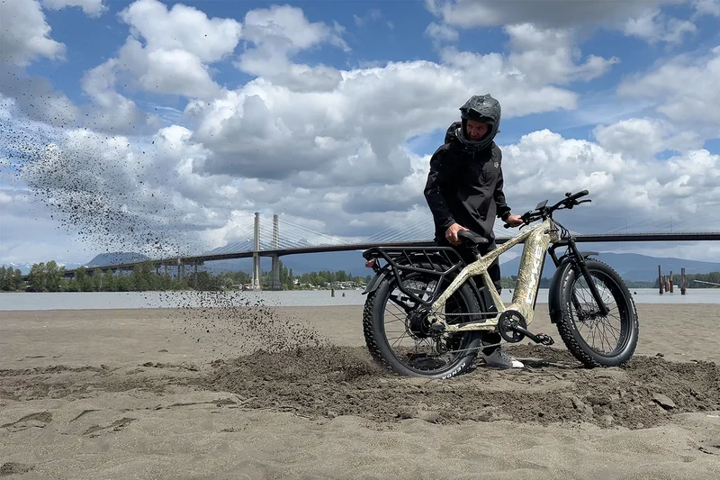 Cyke Family Series Cheetah Hunting Electric Bike