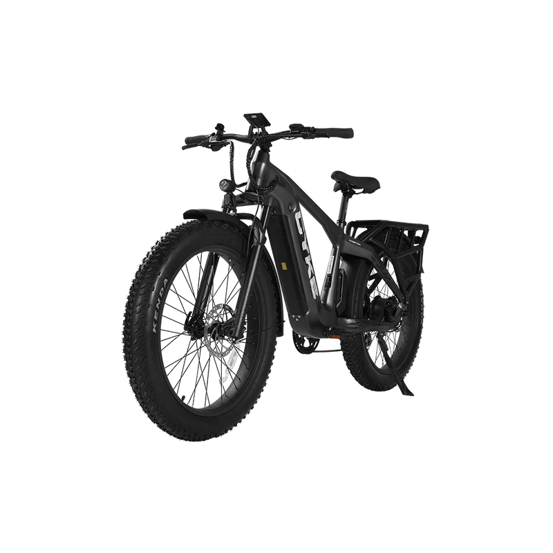Cyke Family Series Cheetah Hunting Electric Bike