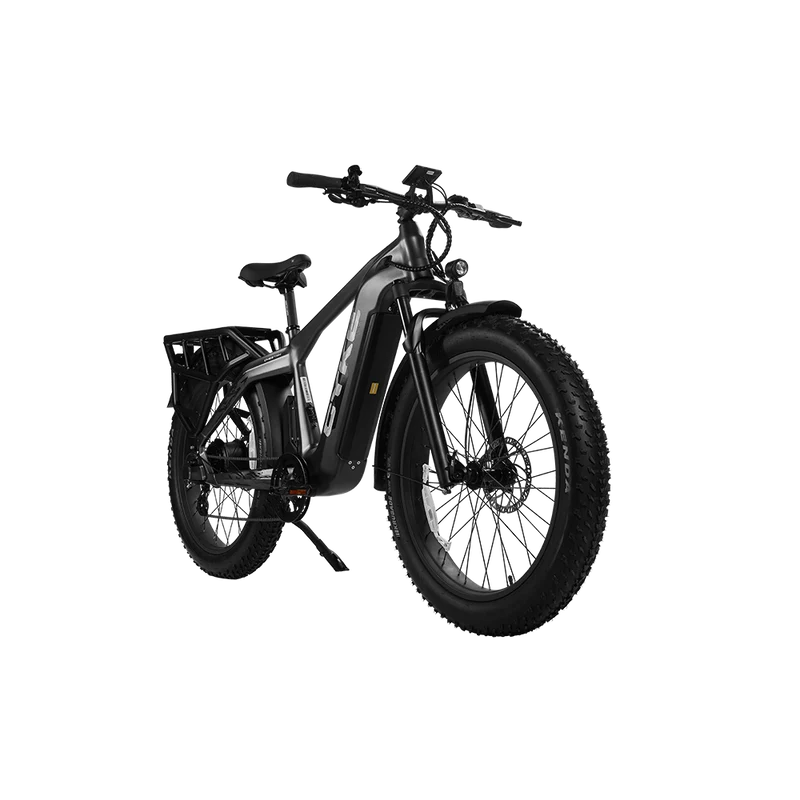 Cyke Family Series Cheetah Hunting Electric Bike