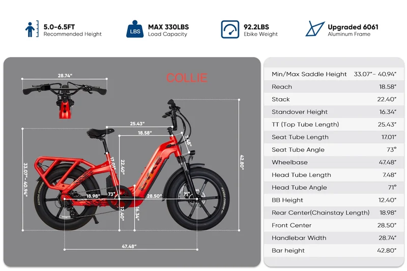 Cyke Family Series Collie Cargo Electric Bike