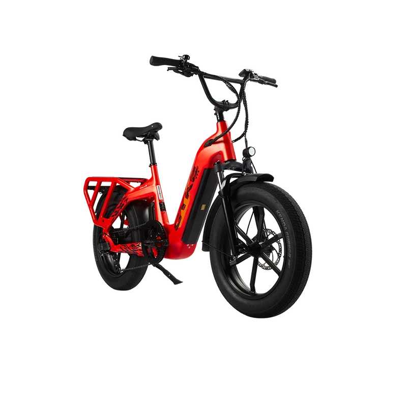 Cyke Family Series Collie Cargo Electric Bike