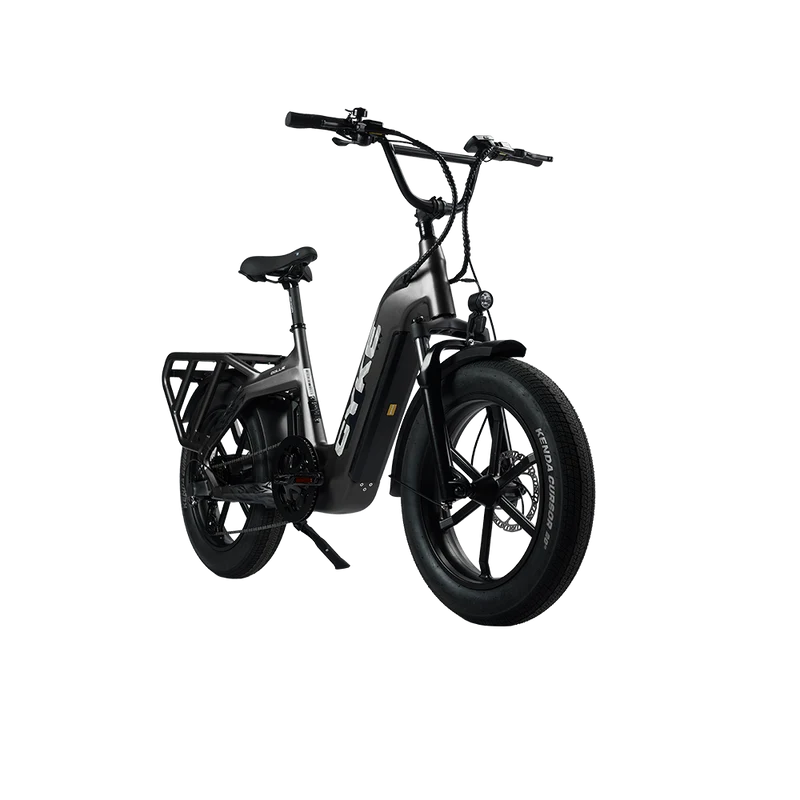 Cyke Family Series Collie Cargo Electric Bike