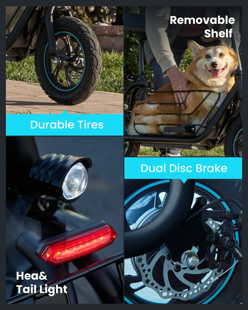 Gyroor C1S Electric Scooter 800W – Front & Rear Baskets