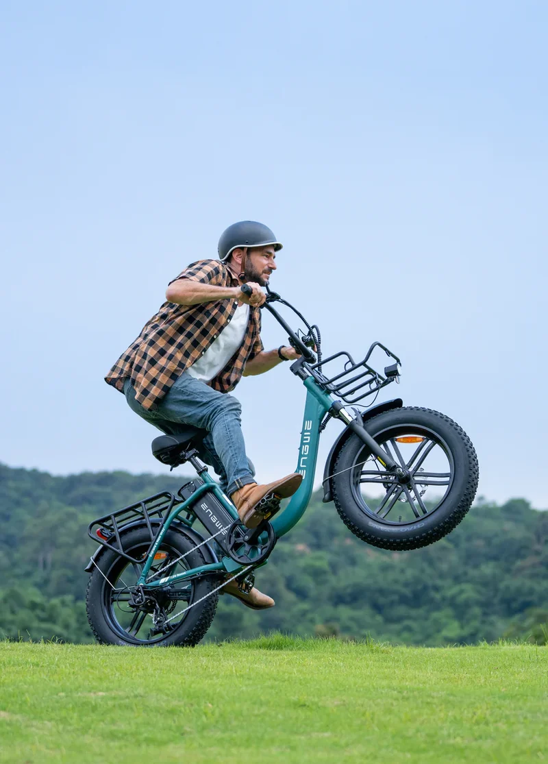 Engwe L20 Boost 250W 126KM Range Torque Sensor Electric Fat Bike with a Boost Button