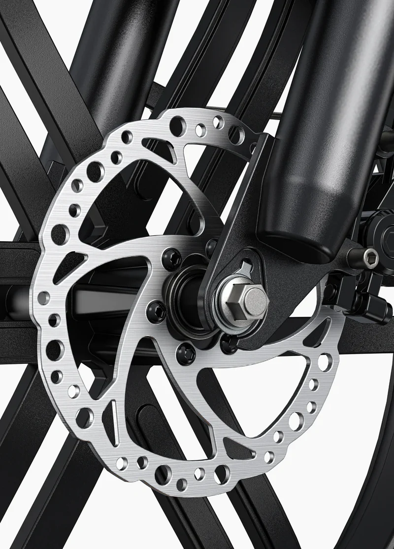 Engwe L20 Boost 250W 126KM Range Torque Sensor Electric Fat Bike with a Boost Button