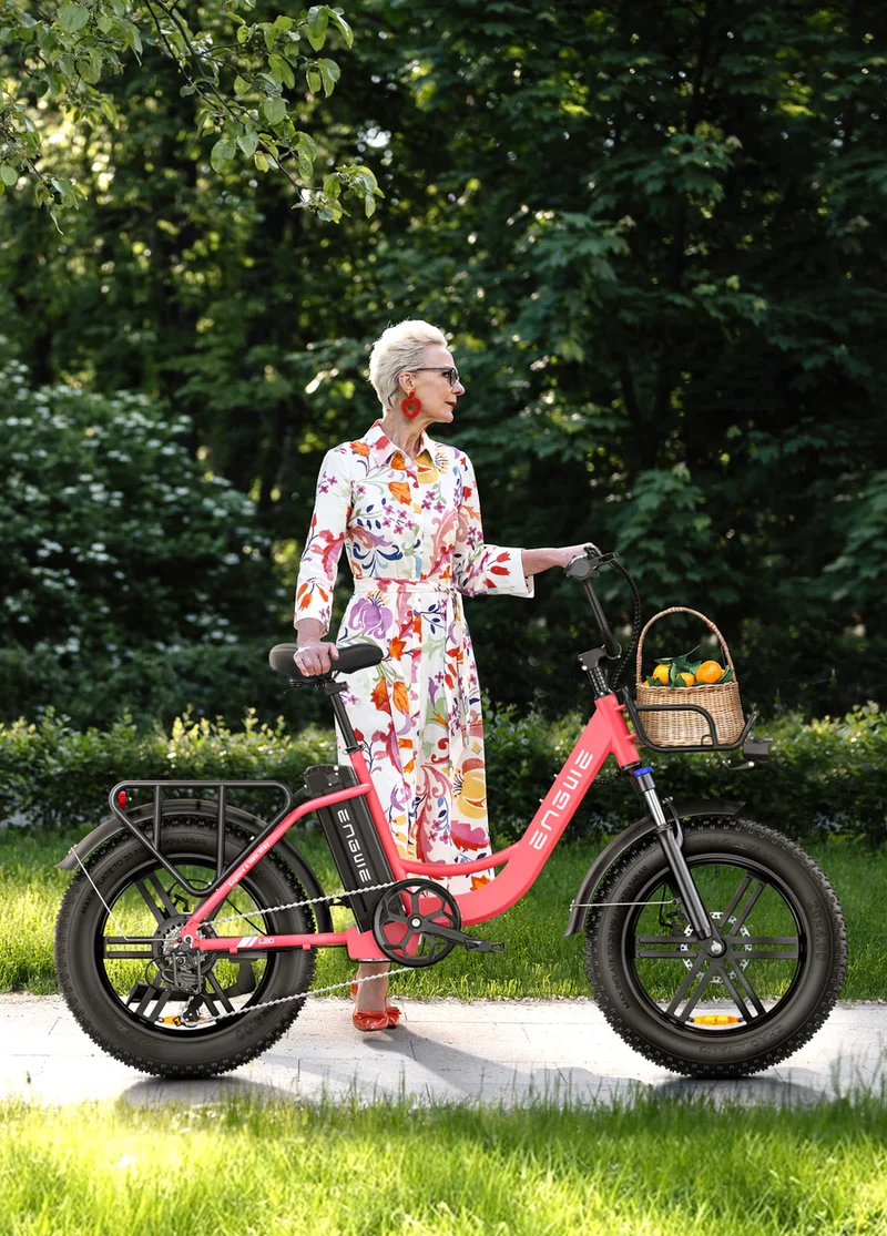 Engwe L20 140KM Range Step-thru Electric Fat Bicycle with Front Suspension