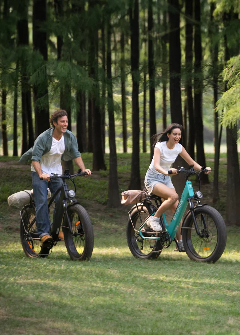 Engwe E26 250W 140 km Dual Suspension All-Terrain E-Bike