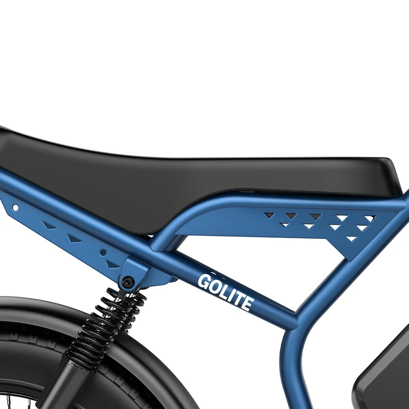 OVIVO GO LITE | Bicicletta Elettrica | Versatile | Motore BAFANG 250W | 48V 20Ah | Freni Idraulici | 25km/h | Autonomia 100-120Km | GARANZIA ITALIANA