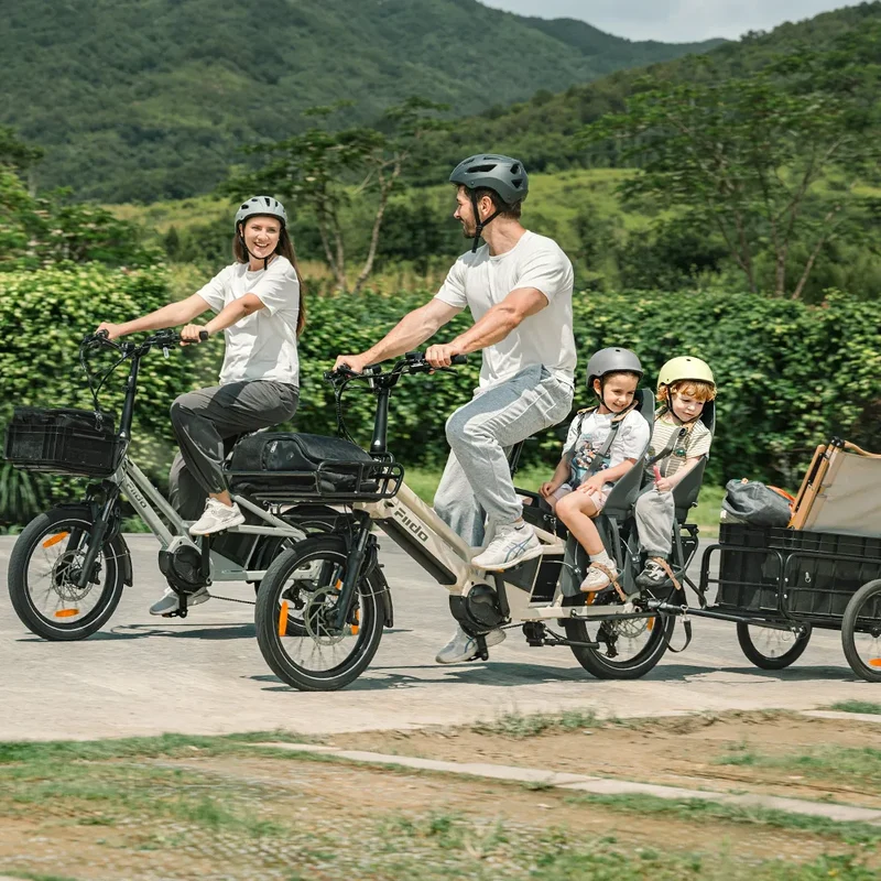 Fiido T3 Max Longtail Cargo Bici Elettrica Fat Bike