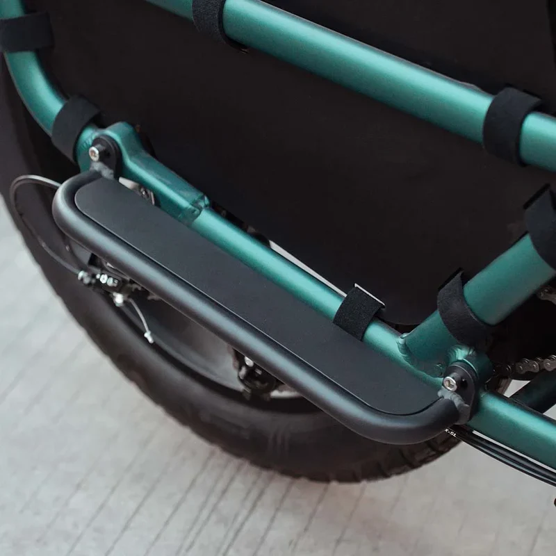 Fiido T2 Bici elettrica da carico Longtail Fat Bike
