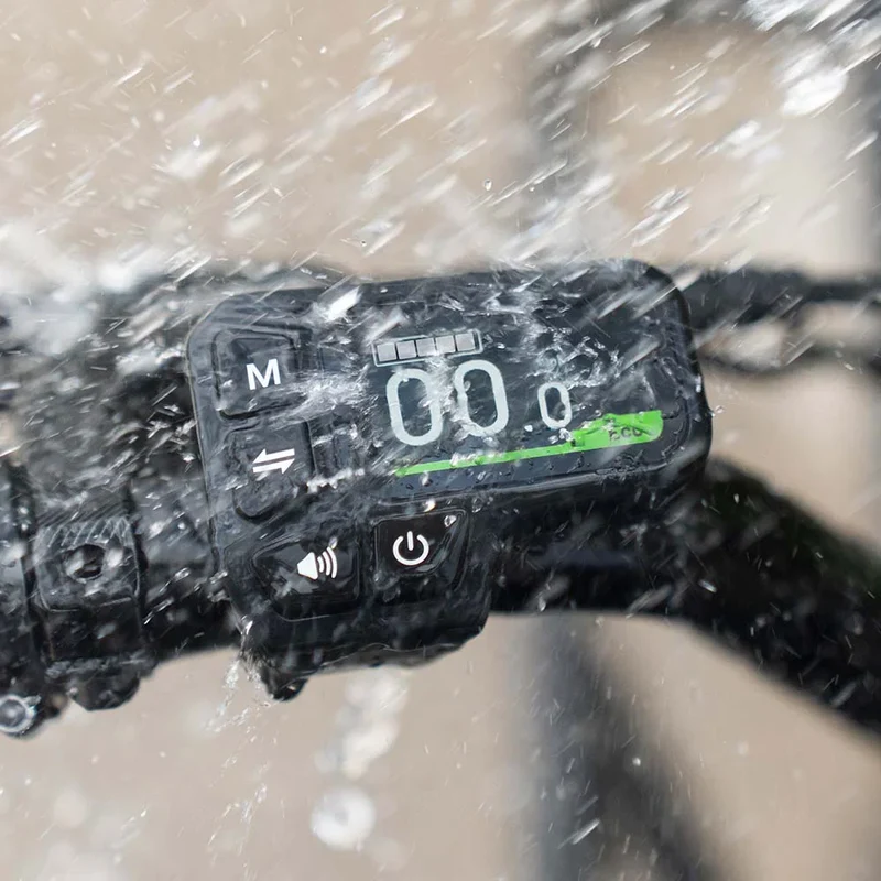 Fiido T2 Bici elettrica da carico Longtail Fat Bike