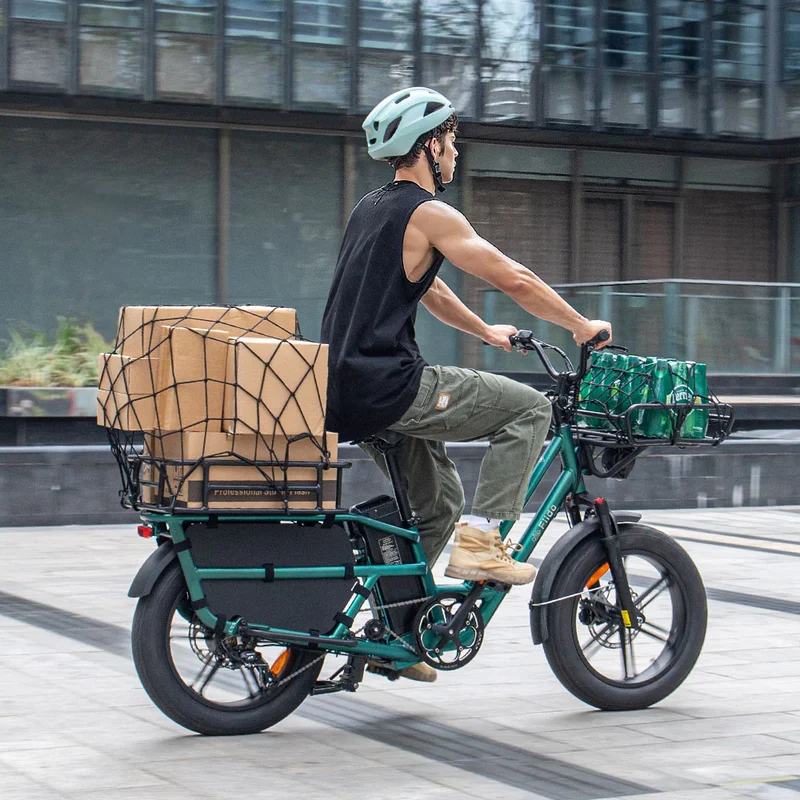 Fiido T2 Bici elettrica da carico Longtail Fat Bike