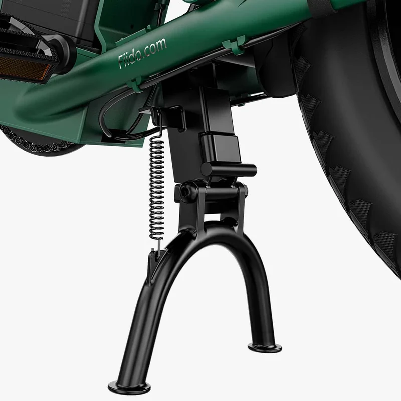 Fiido T2 Bici elettrica da carico Longtail Fat Bike