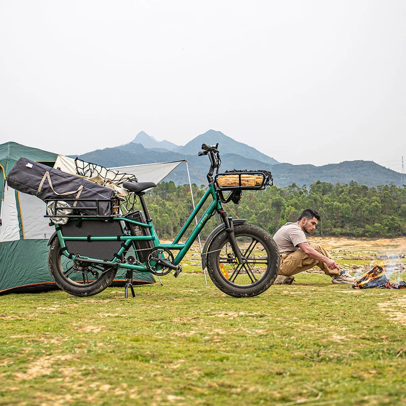 Fiido T2 Bici elettrica da carico Longtail Fat Bike