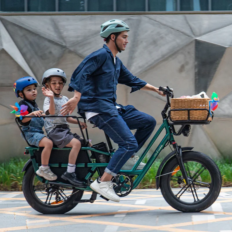 Fiido T2 Bici elettrica da carico Longtail Fat Bike