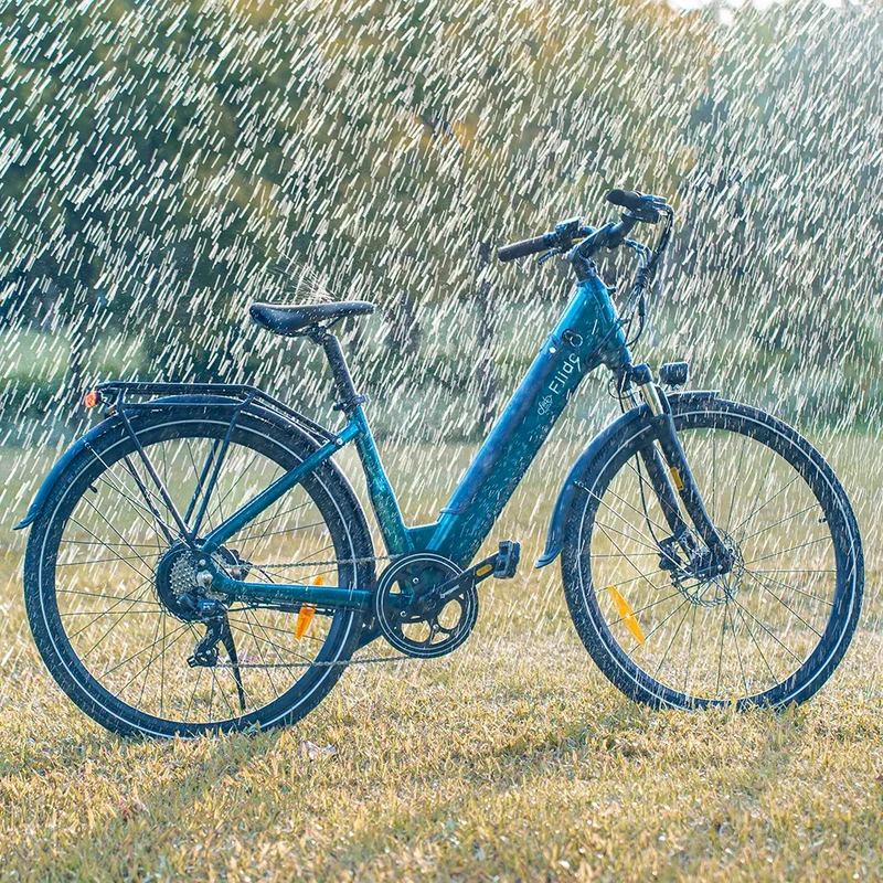 Fiido C11 Bici Elettrica Leggera Da Città