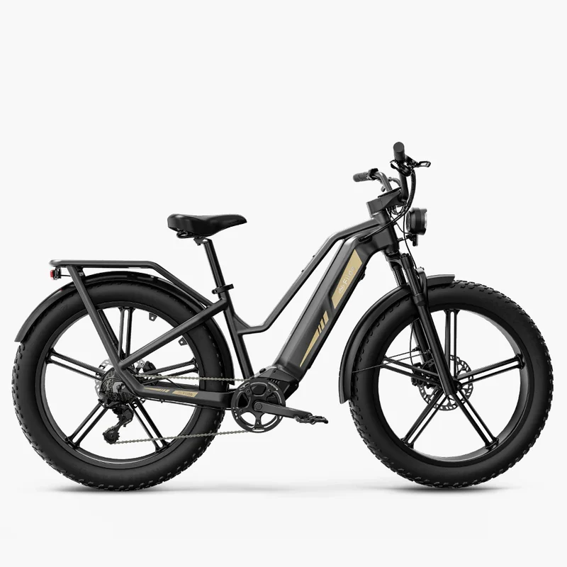 Titan Fat Tire Touring Ebike - Lunga autonomia