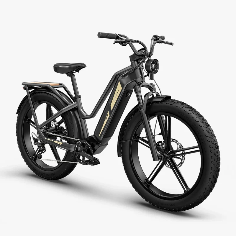 Titan Fat Tire Touring Ebike - Lunga autonomia