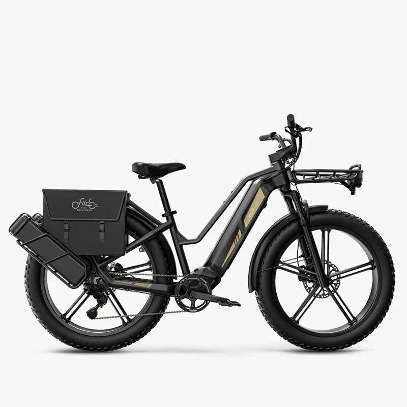 Titan Fat Tire Touring Ebike - Lunga autonomia