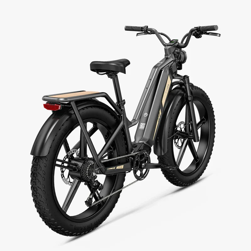 Titan Fat Tire Touring Ebike - Lunga autonomia