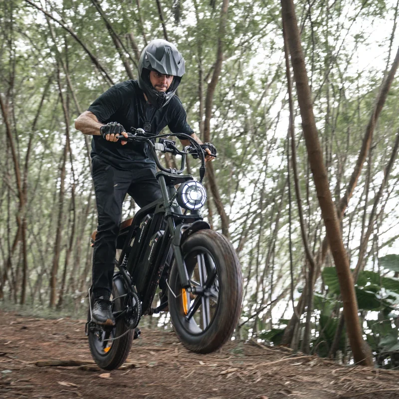 Cycrown CycHunter Moped-Style Ebike