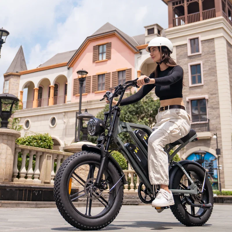 Cycrown CycHunter Moped-Style Ebike