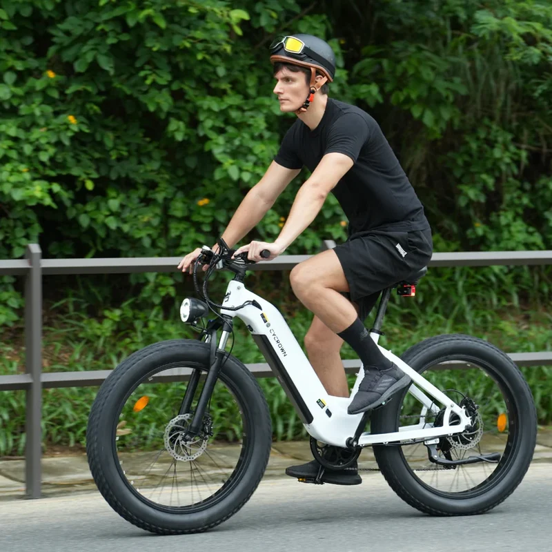 Cycrown CycVerve Fat Tire Ebike
