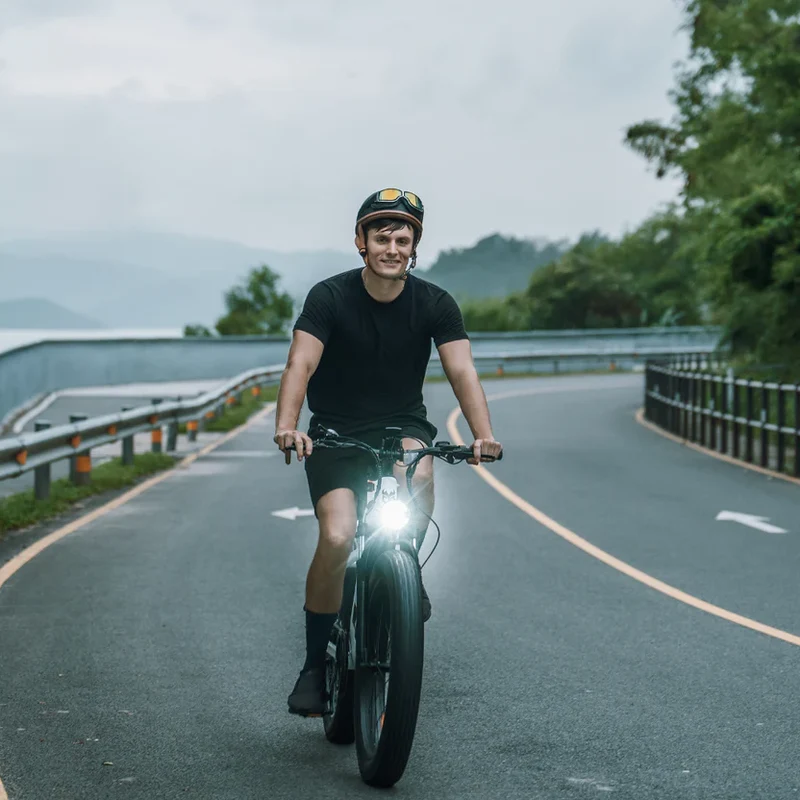 Cycrown CycVerve Fat Tire Ebike